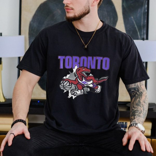 Toronto Raptors logo scratch vintage shirt