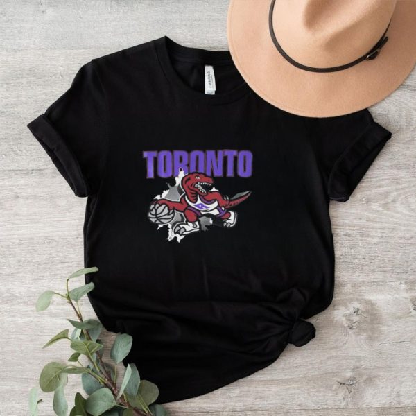 Toronto Raptors logo scratch vintage shirt