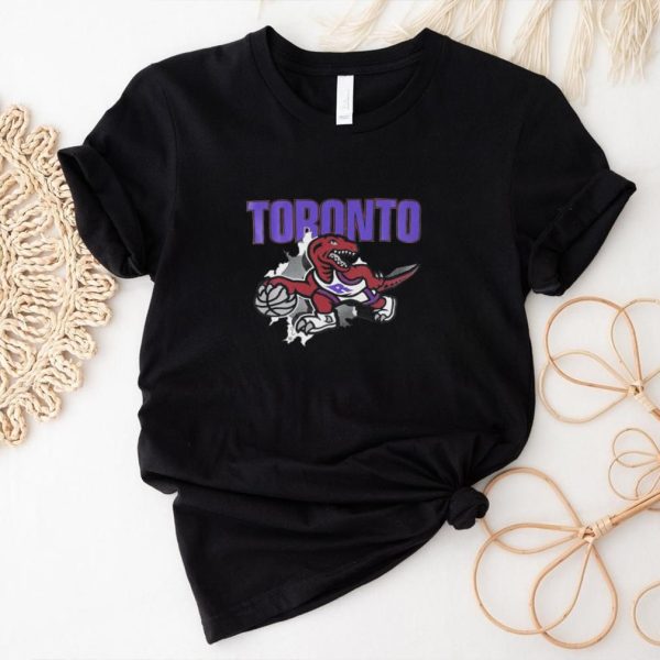 Toronto Raptors logo scratch vintage shirt