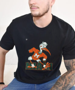 Miami Hurricanes Men's In The Box shirt