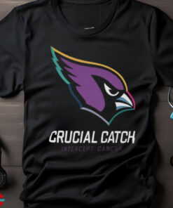 2024 Arizona Cardinals Crucial Catch Intercept Cancer Sweatshirt