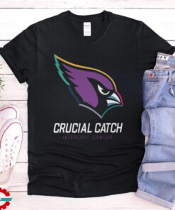 2024 Arizona Cardinals Crucial Catch Intercept Cancer Sweatshirt