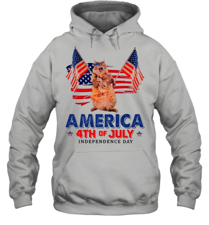 American Flag Cat America 4th Of July Independence Day 2021 shirt 2