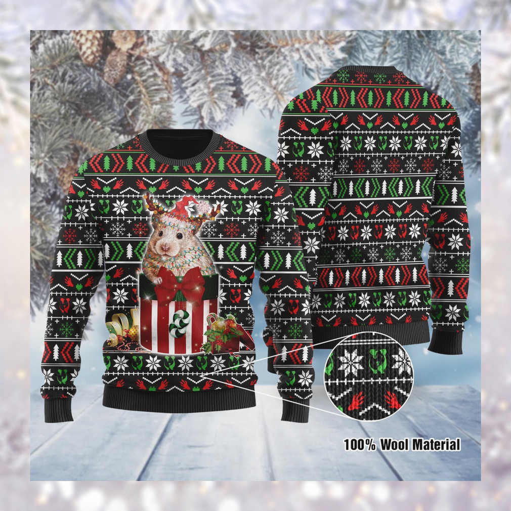Funny Guinea Pig In The Gift Box Ugly Sweater For Guinea Pig Lovers On Christmas Days
