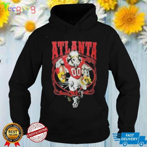 Atlanta Falcons NFL T Shirt Football Champs Sport Funny Vintage Shirts