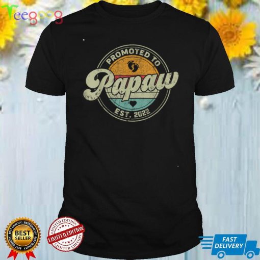 Vintage Promoted to Papaw 2022 for New Papaw First Time T Shirt