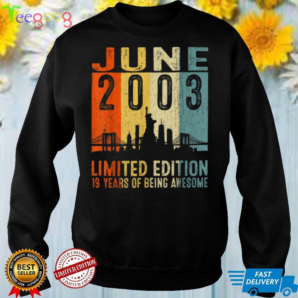 Awesome Since June 2003 19th Birthday Vintage Retro T Shirt