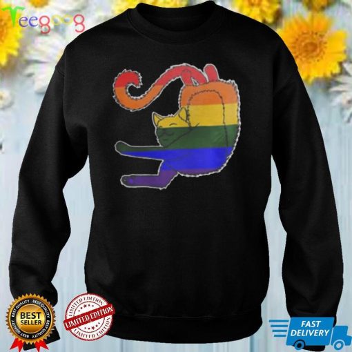 LGBT Cat pride happy pride month shirts