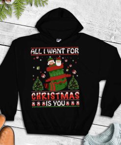 Gift For Family All I Want for Christmas Is You T Shirt